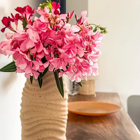 Argonauti Ξενοδοχείο Plemmirio